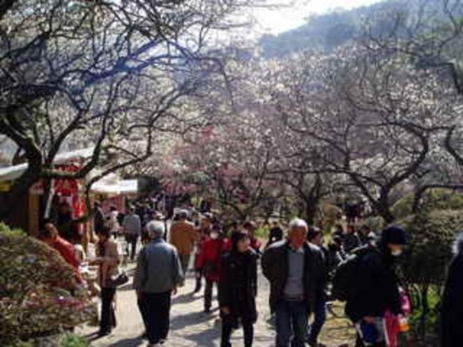 Minoya Hotel Atami  Zewnętrze zdjęcie